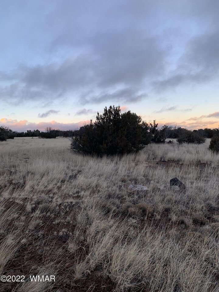 Property Photo:  8084 County Rd  8084  AZ 85924 