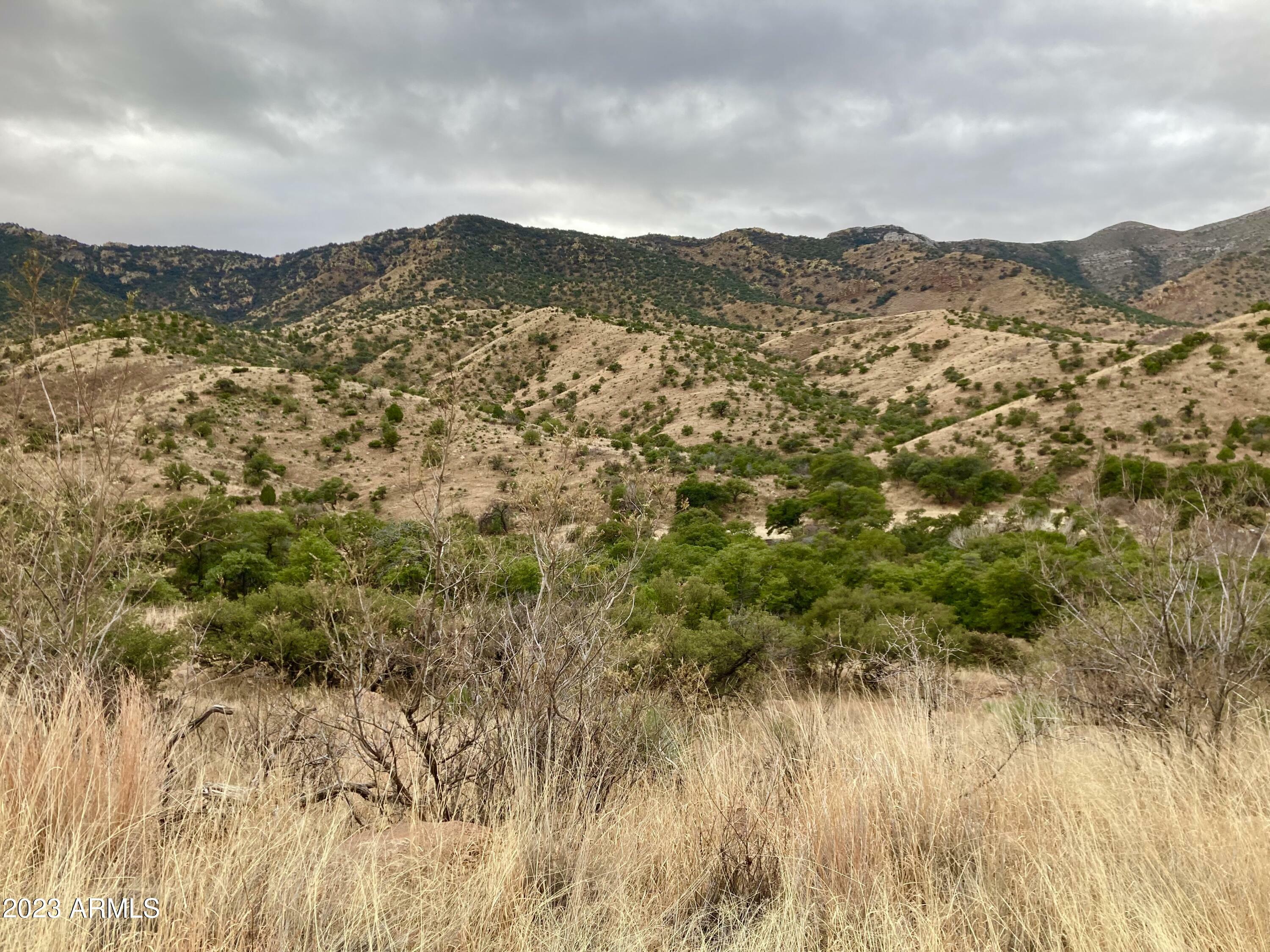 Property Photo:  Tbd Hwy 80 --  AZ 85603 