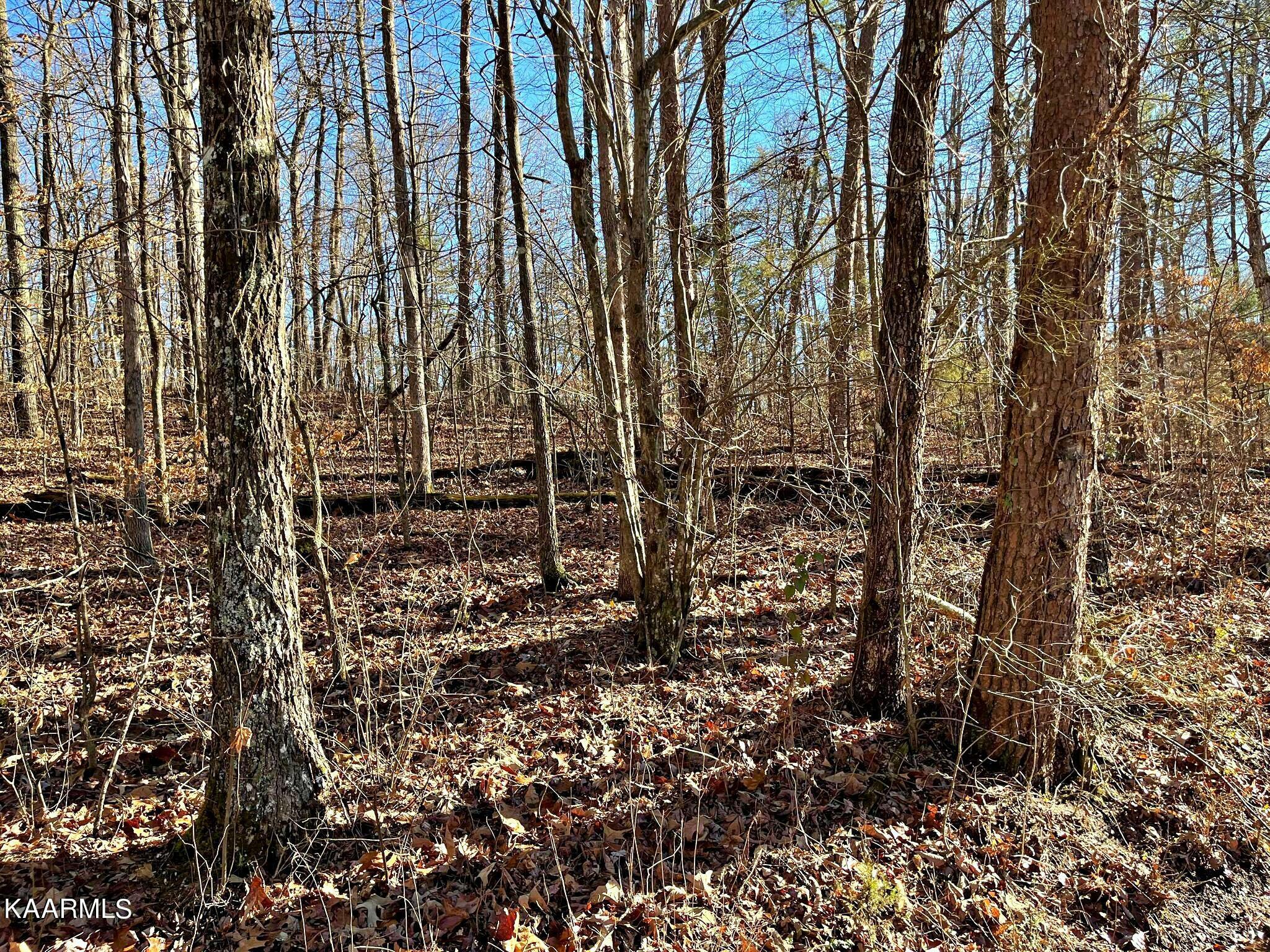 Property Photo: Lot 2 County Road 138 TN 37303