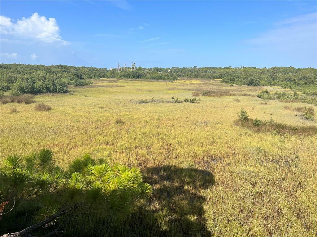 Property Photo:  Lot 10 East Point Road  FL 32625 