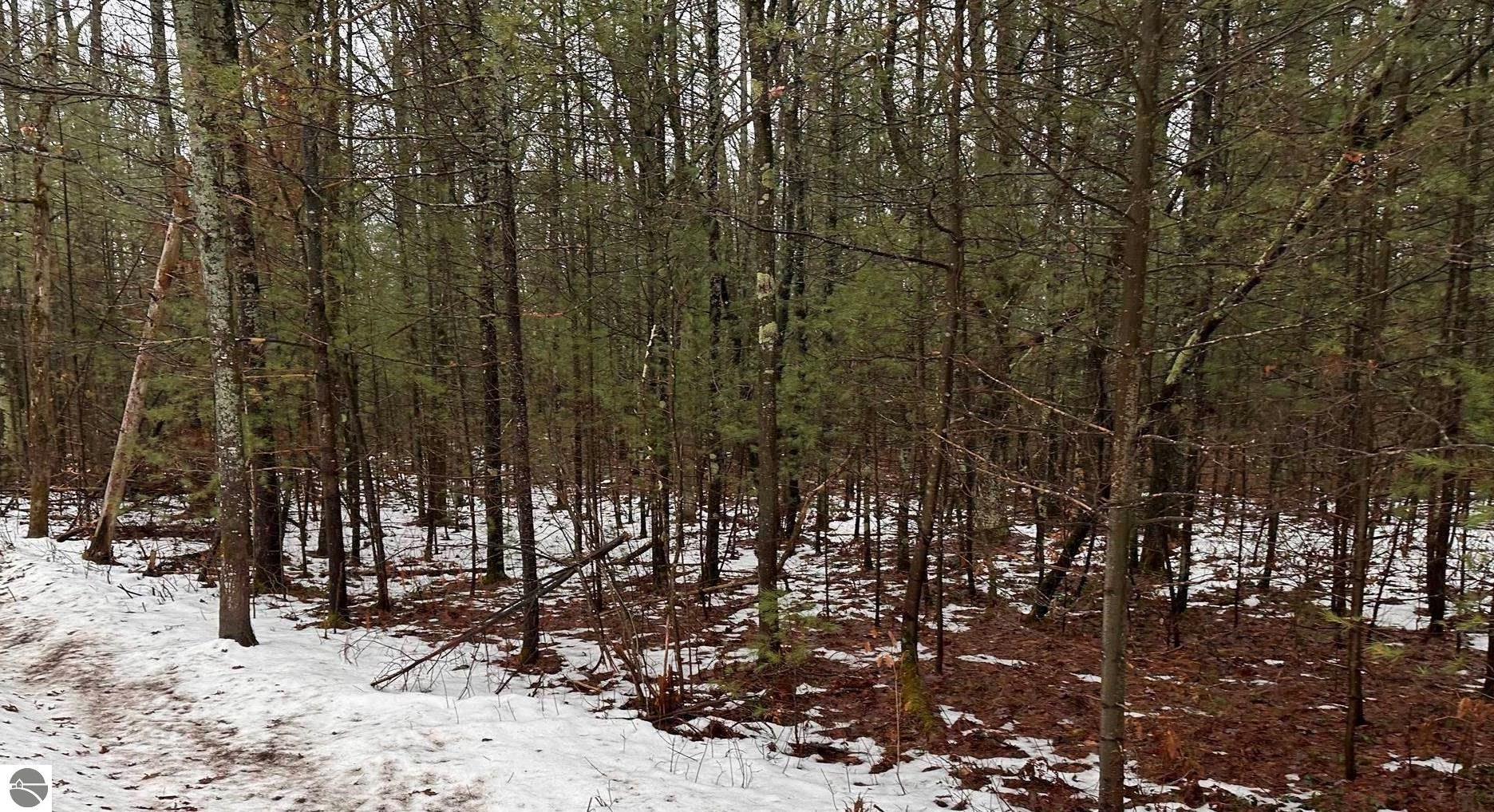 Property Photo:  #D Albrecht  MI 49643 