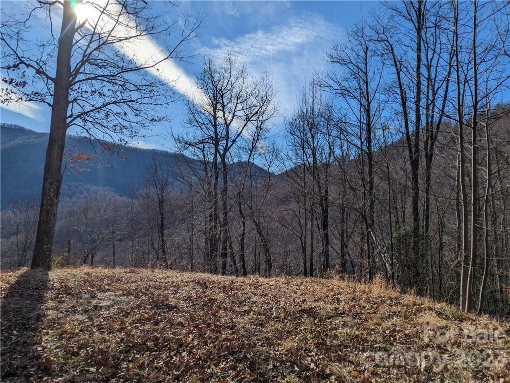 367 Kestrel Lane T-85  Black Mountain NC 28711 photo