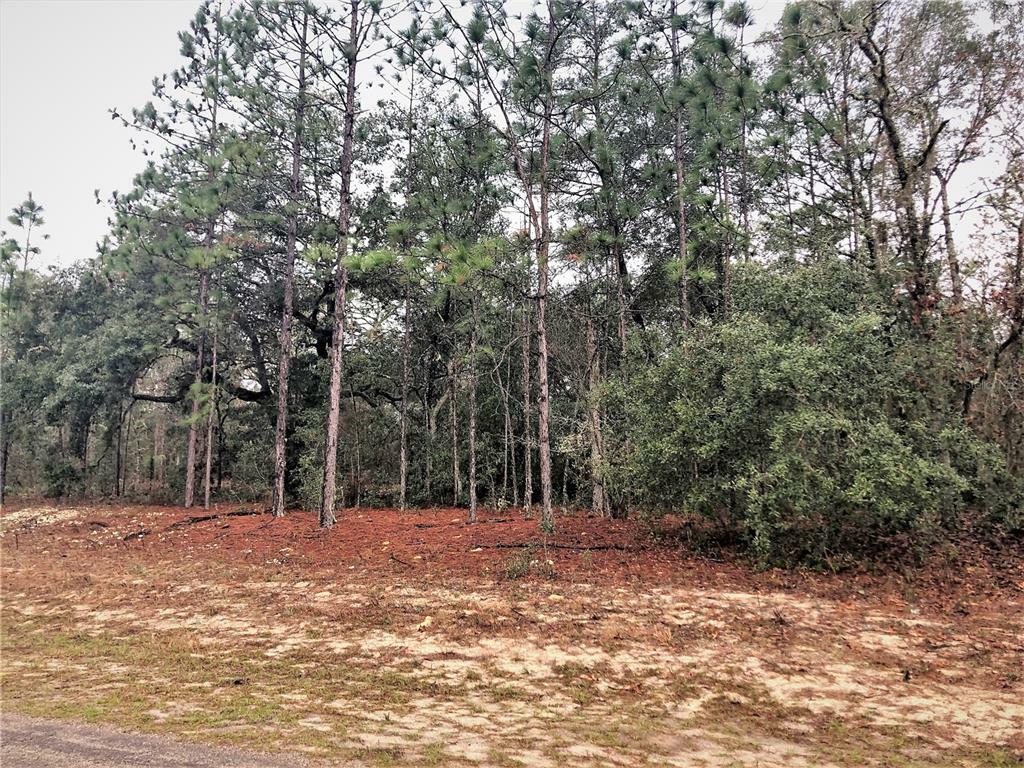 Property Photo:  9806 N Wayland Avenue  FL 34434 