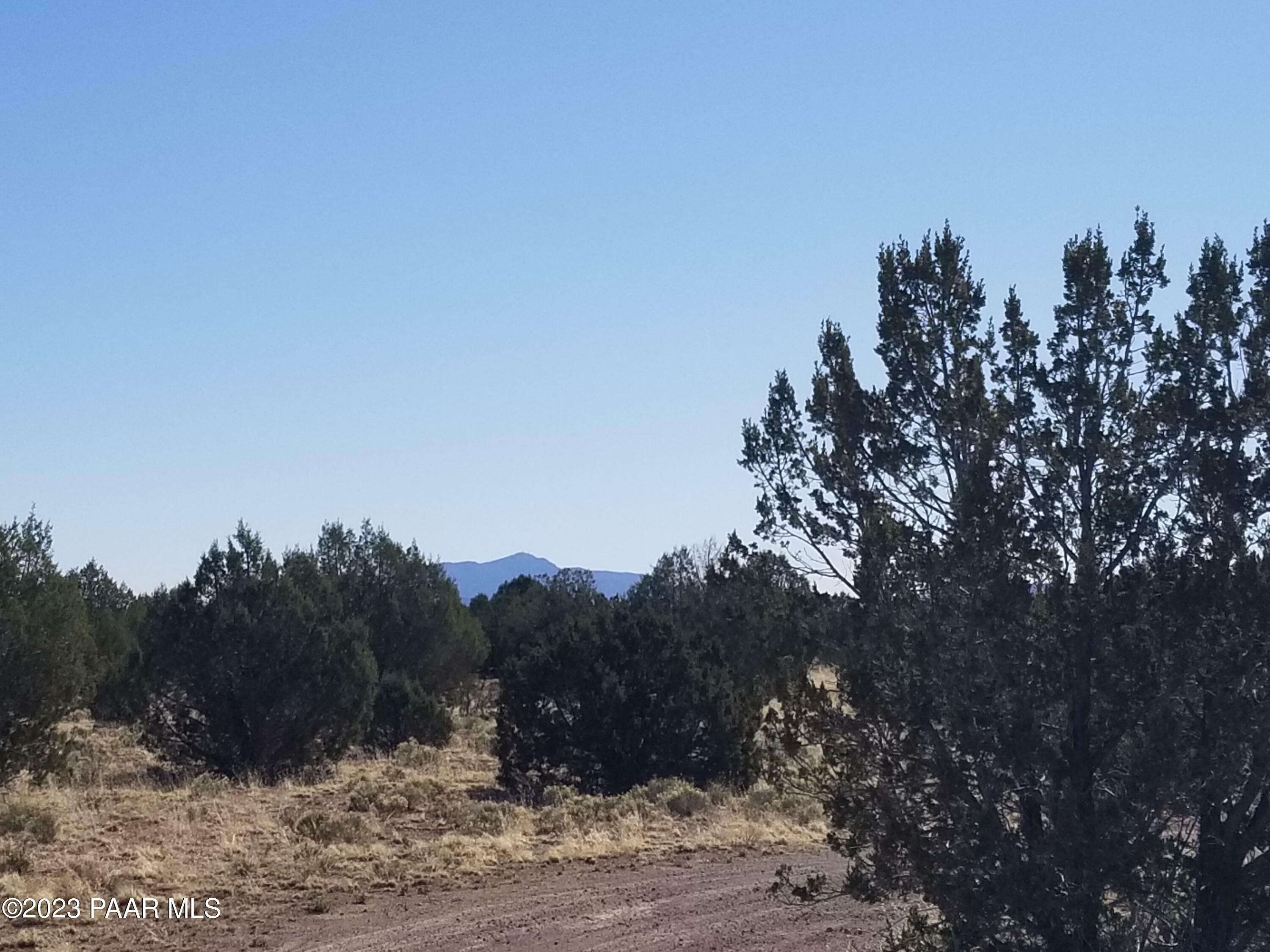 252C Juniperwood Ranch  Ash Fork AZ 86320 photo