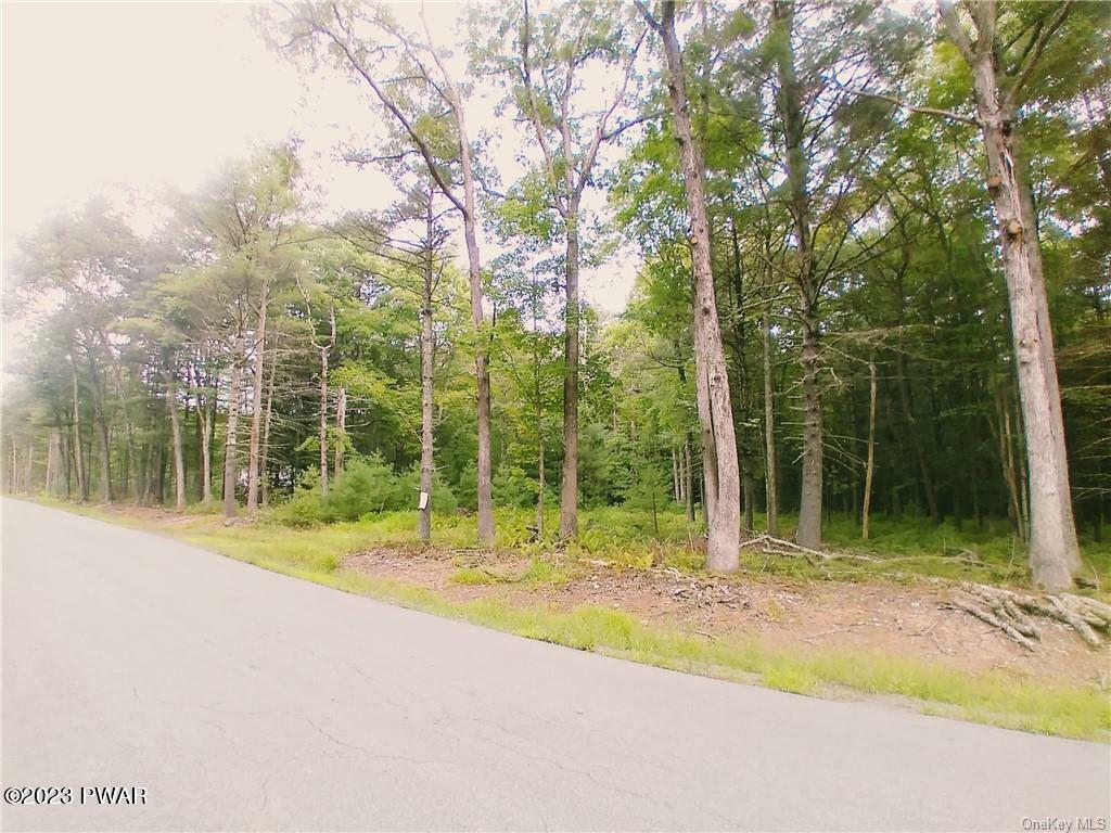 Property Photo:  Lot 7 Haring  NY 12737 