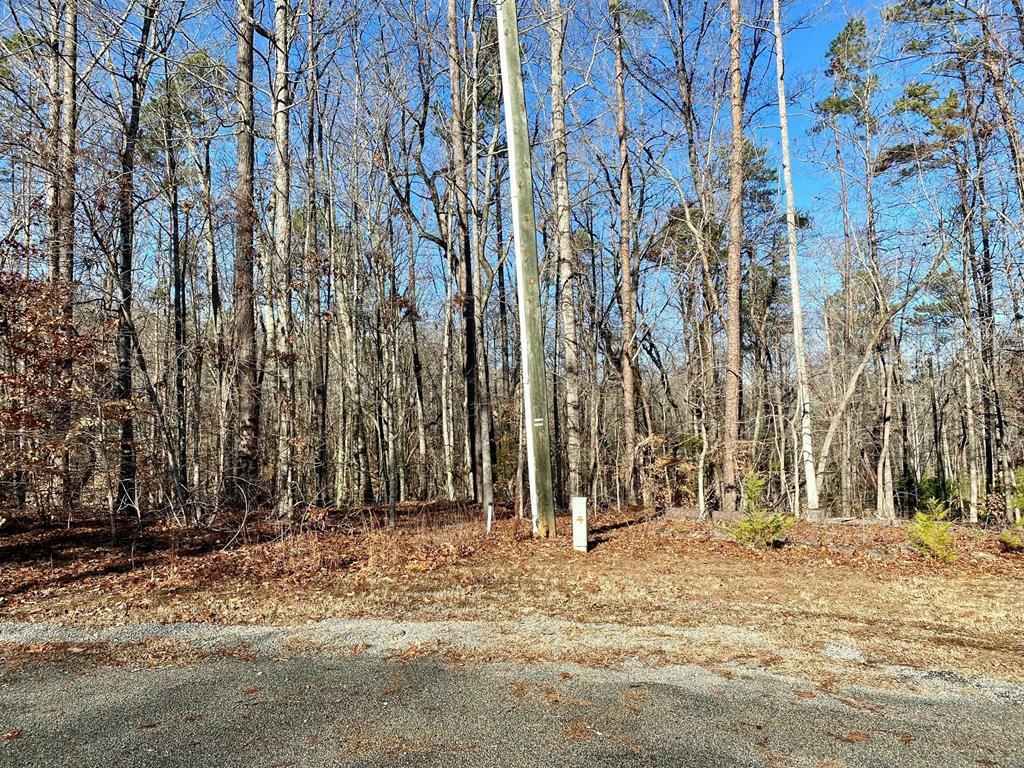 Property Photo:  380 Large Mouth Lane  VA 23927 