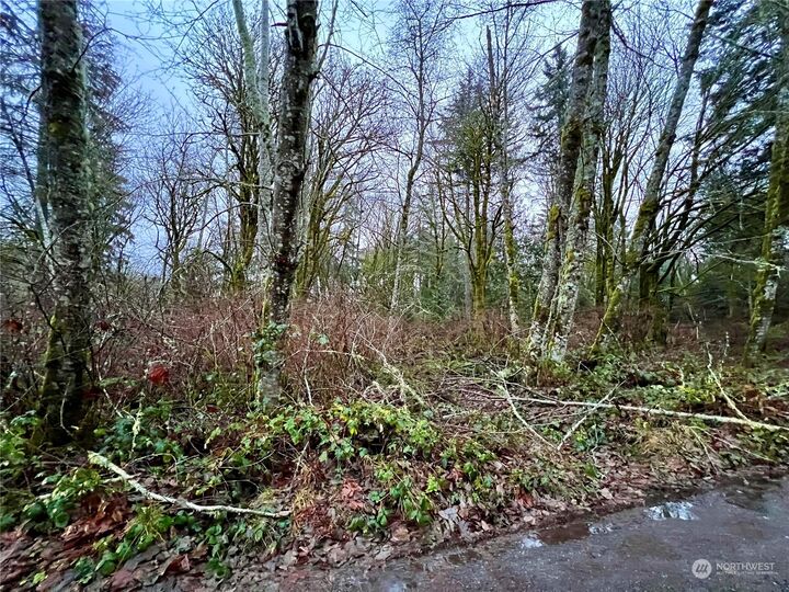 Property Photo: 0 Lot 7 Hicks Avenue NE WA 98311