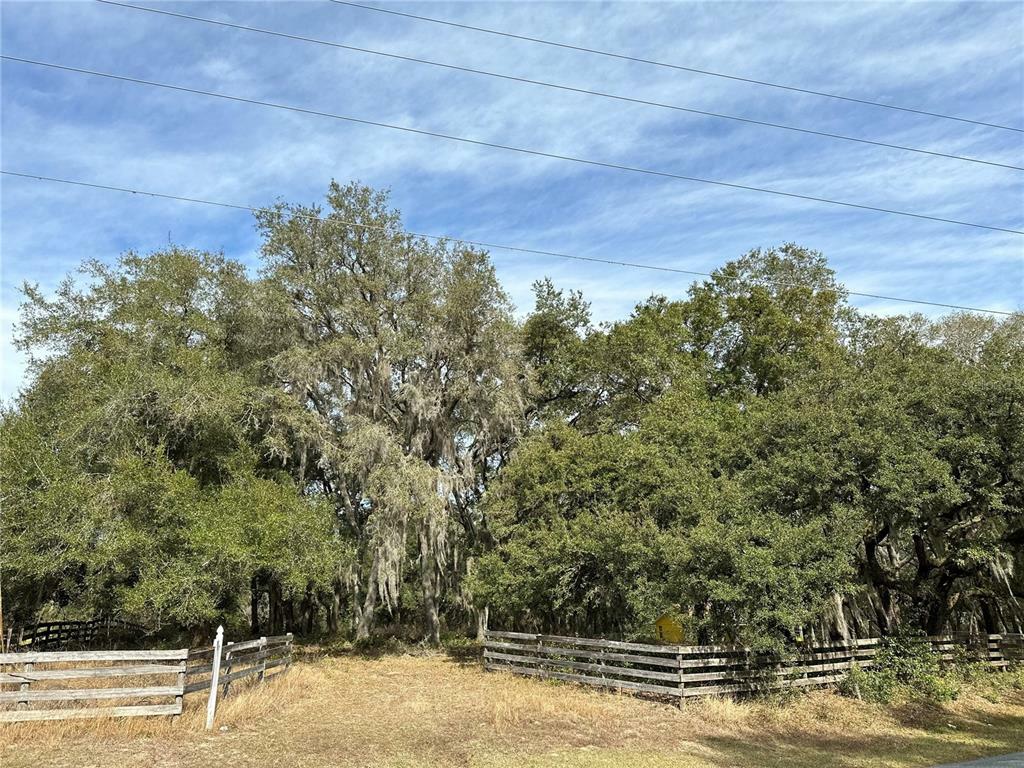 Property Photo:  Lot 1 Griffin Avenue  FL 32159 