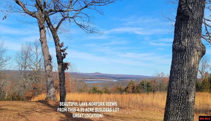 2102 Sycamore Springs Road  Mountain Home AR 72653 photo