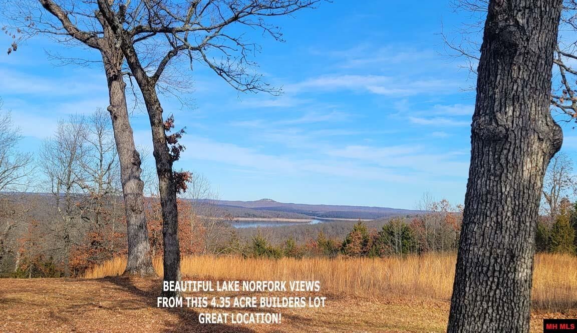 Property Photo:  2102 Sycamore Springs Road  AR 72653 