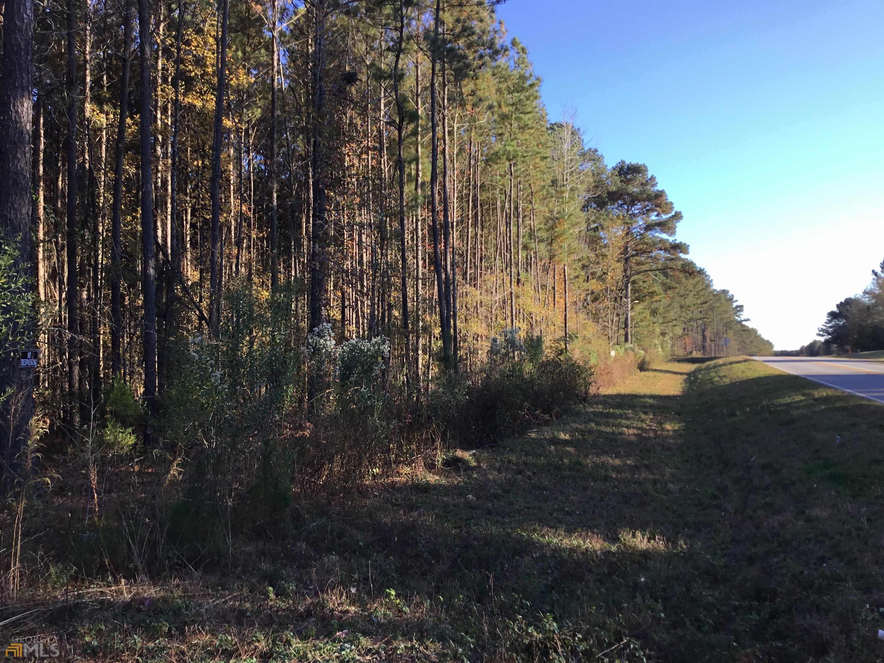 Property Photo:  None S Lester Mill Road SW  GA 30248 