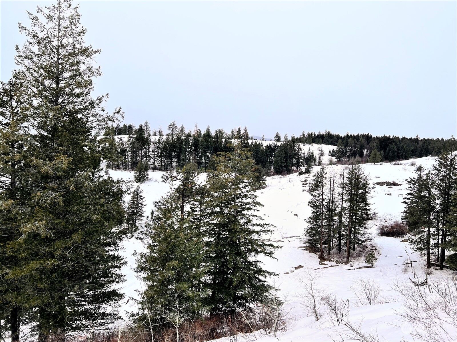 Property Photo:  0 Lot 162 Union Ridge Road  WA 99166 