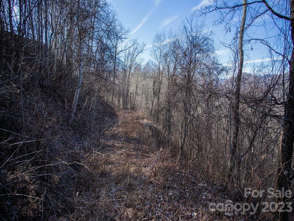 Property Photo:  0000 Tanner Trail 19  NC 28785 