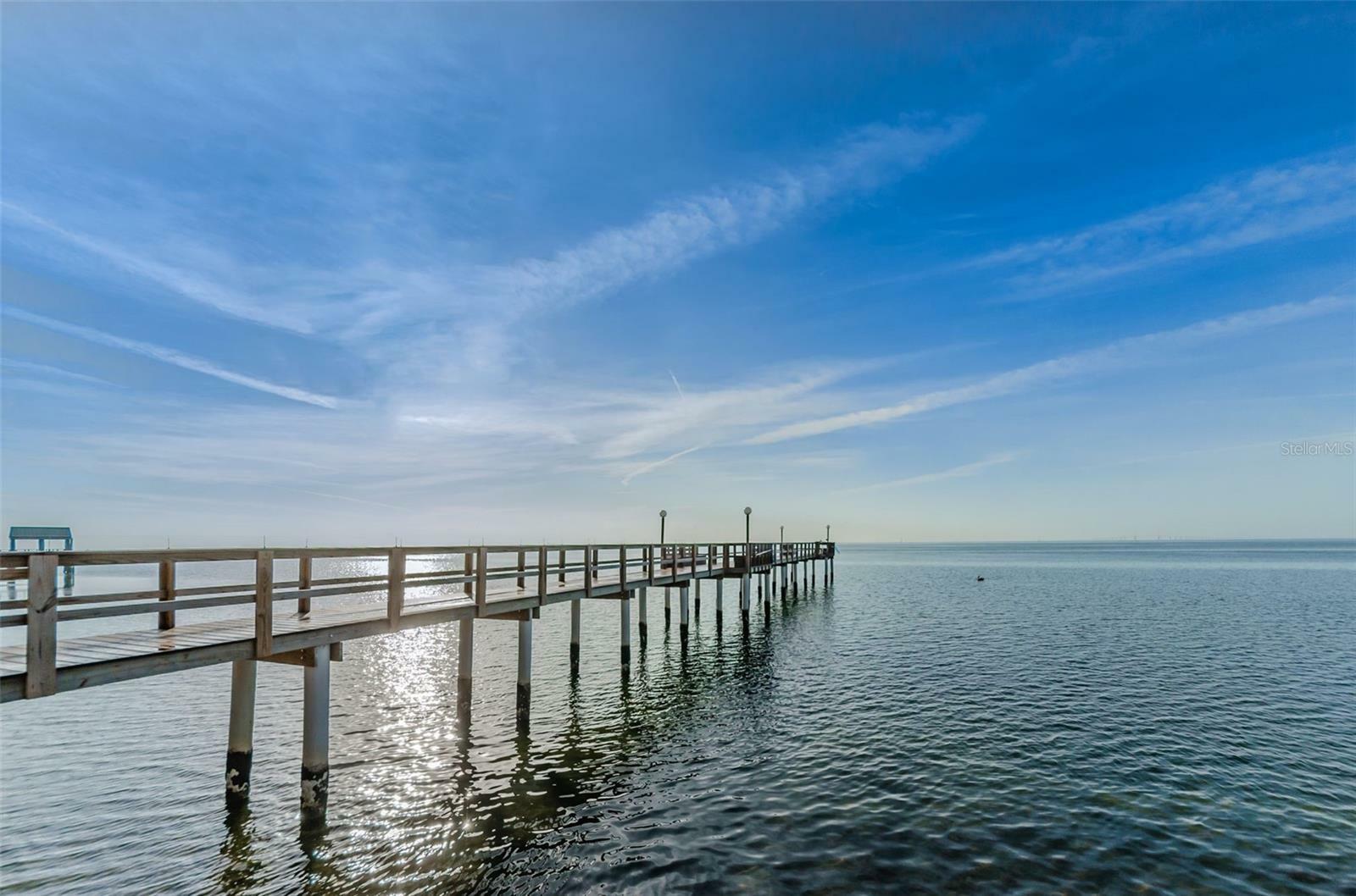 Property Photo:  650 Pinellas Point Drive S 216  FL 33705 