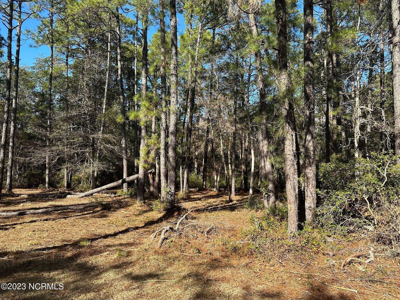 Property Photo: 3772 Acadian Avenue SW NC 28462