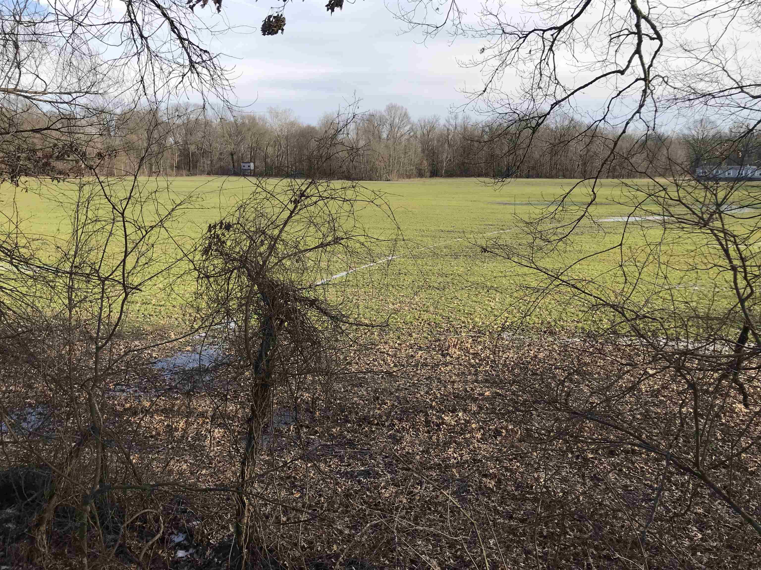 Property Photo: Lot 3 Meade Lake Rd TN 38053