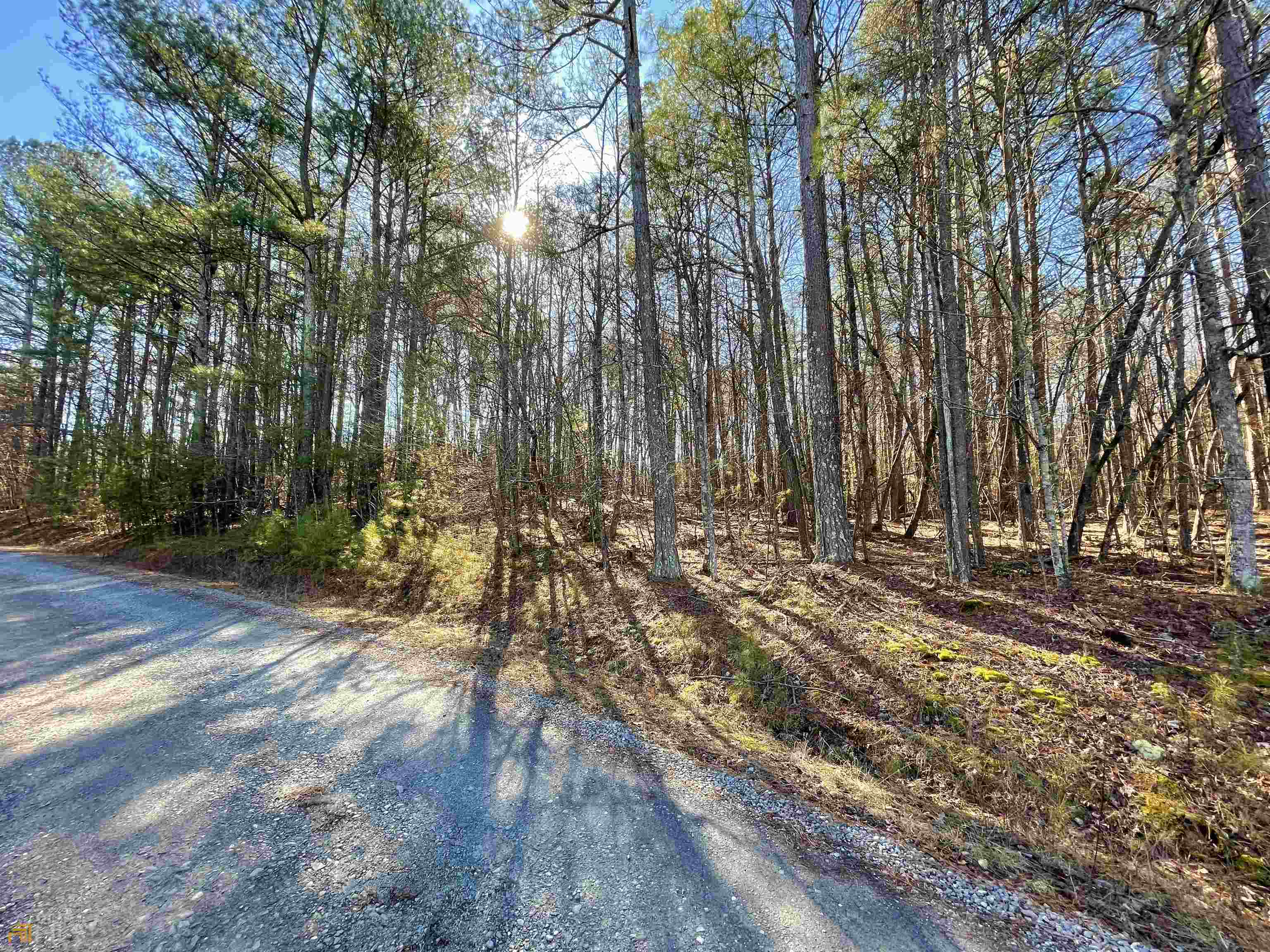 Property Photo:  Lot 17 Reindeer Lane  GA 30175 