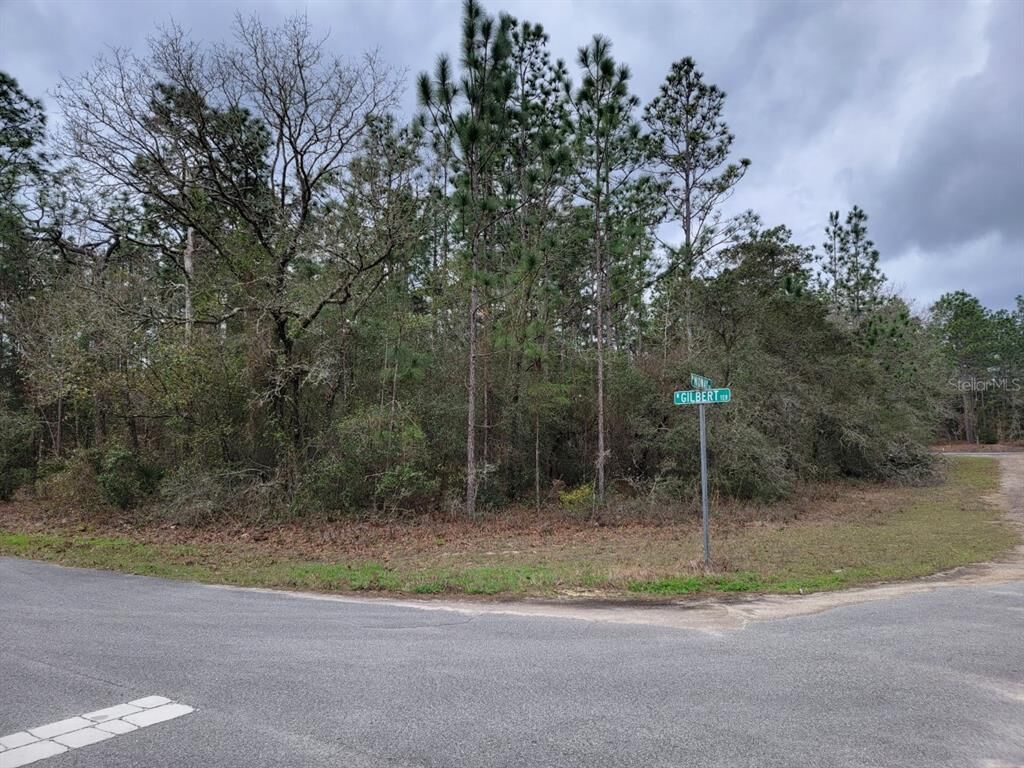Property Photo: 9178 N Gilbert Terrace FL 34433