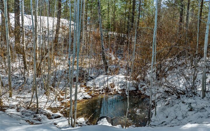 Property Photo: 222 Timber Tiger Drive WA 98922