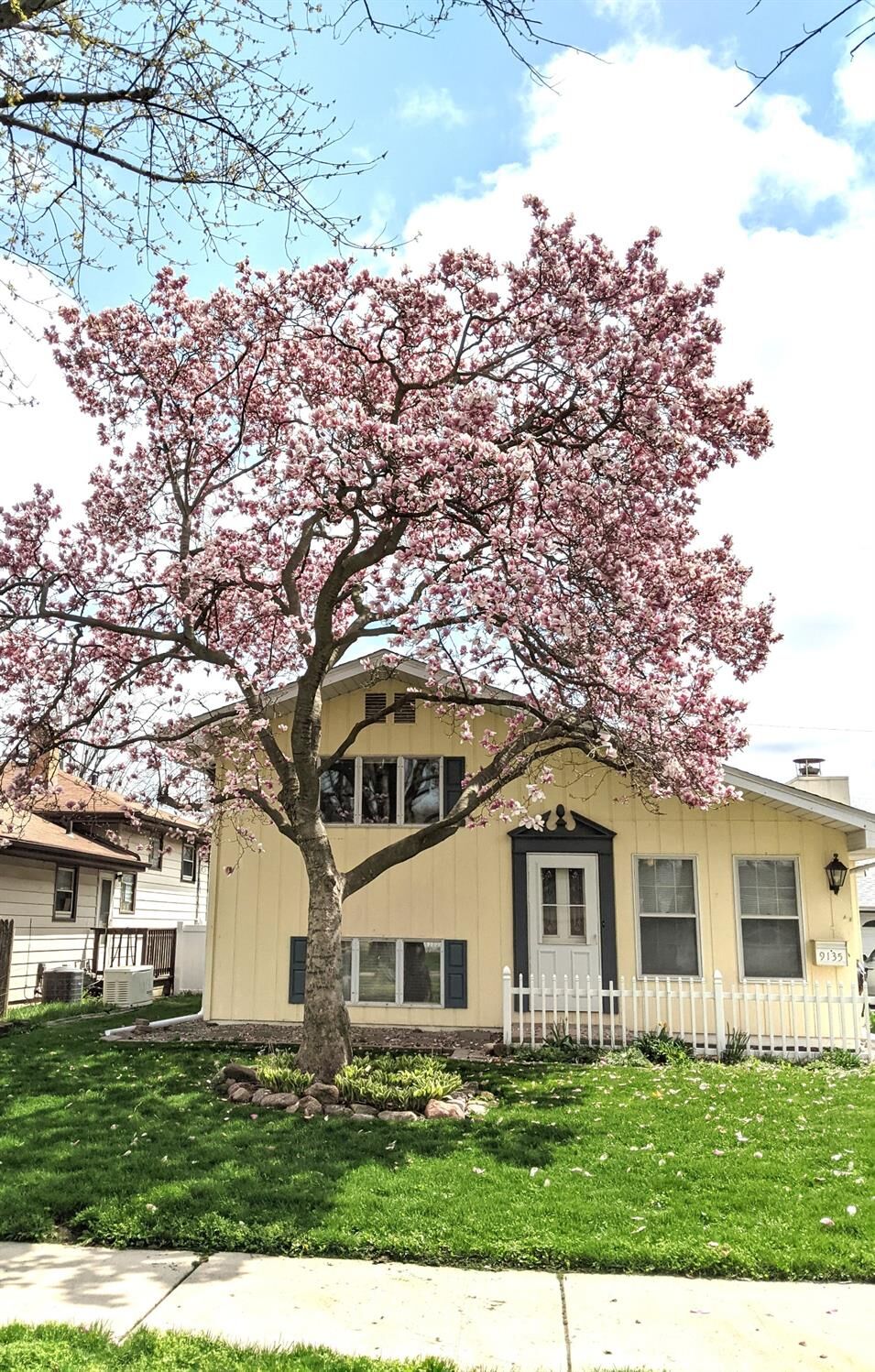 Property Photo:  9135 Highland Street  IN 46322 