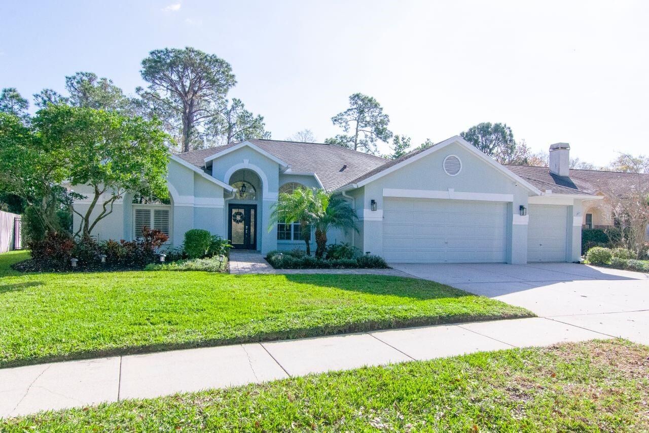 Property Photo:  10513 Chambers Drive  FL 33626 