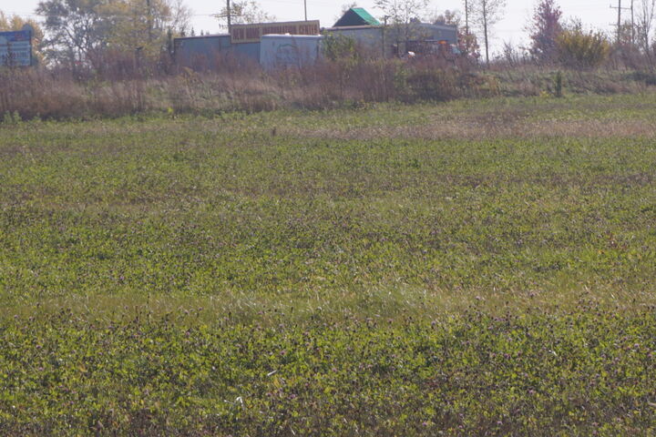 Property Photo: Lot5 S Rt 52 Road IL 60442