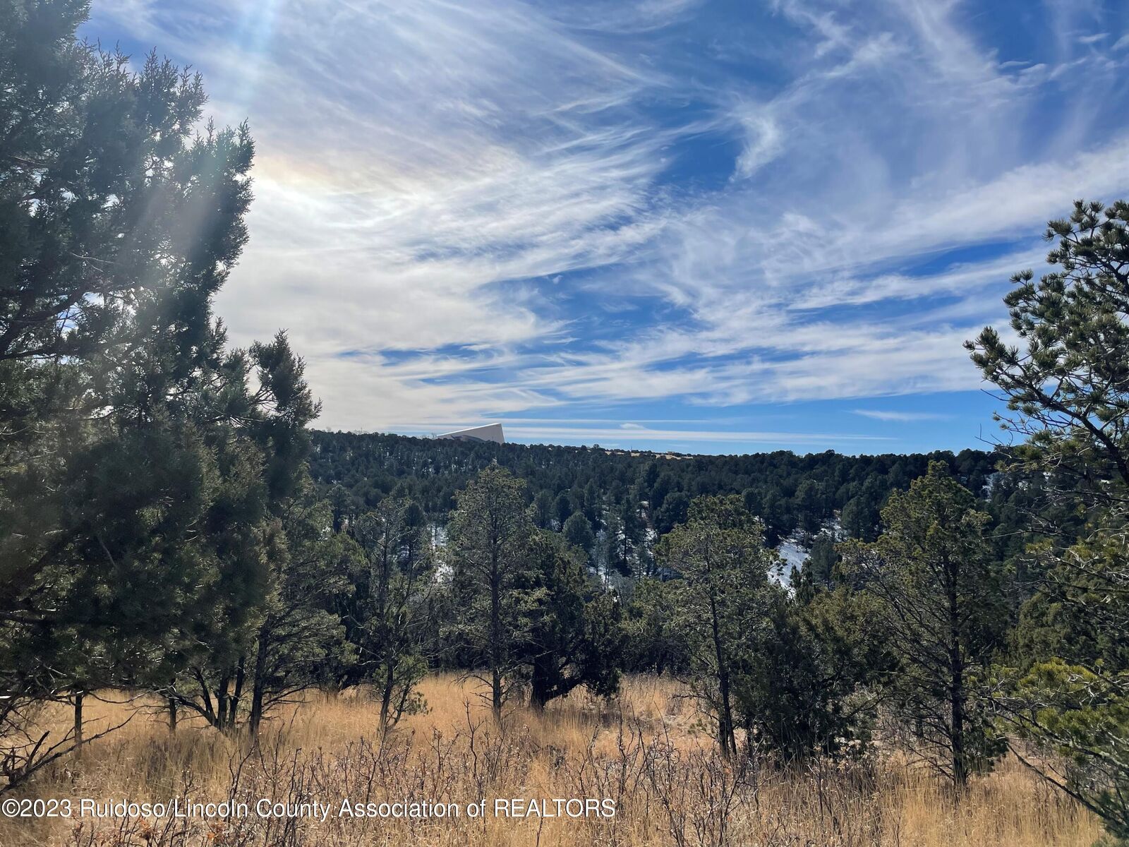 Property Photo:  L456 Chama Canyon  NM 88312 