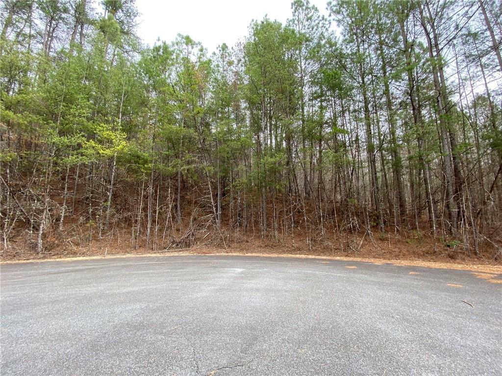 Lot 18 East Ridge Lane  Ellijay GA 30536 photo