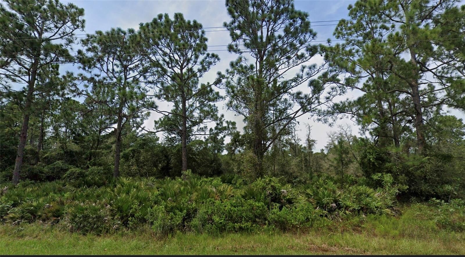 Property Photo:  Royal Trails Road  FL 32726 