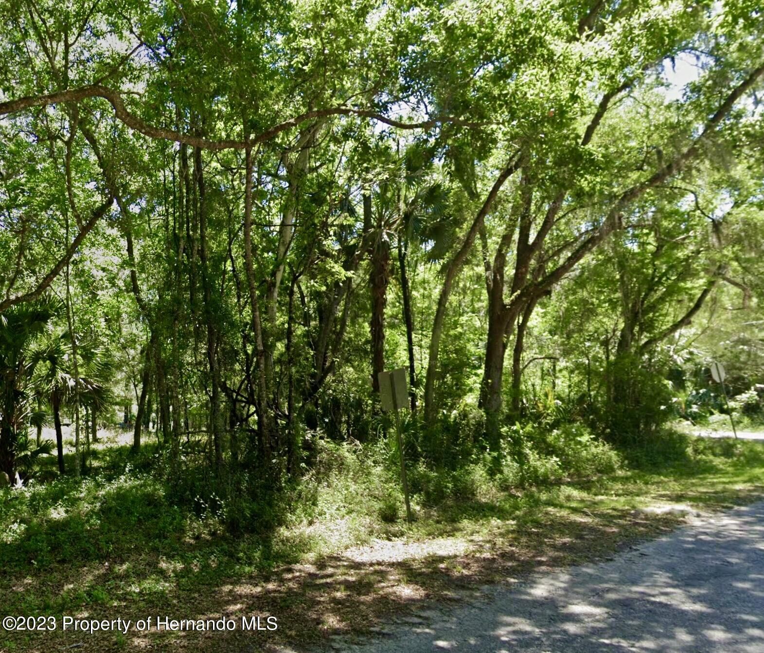 Property Photo:  01 SW 9th Lane  FL 34481 