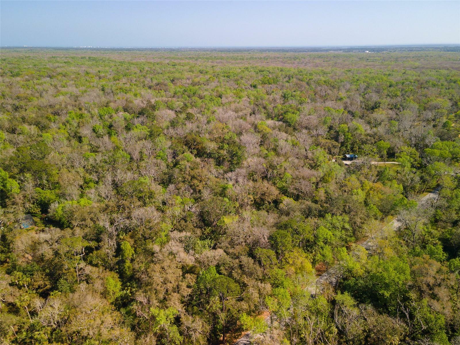 Property Photo:  Maytown Road  FL 32759 