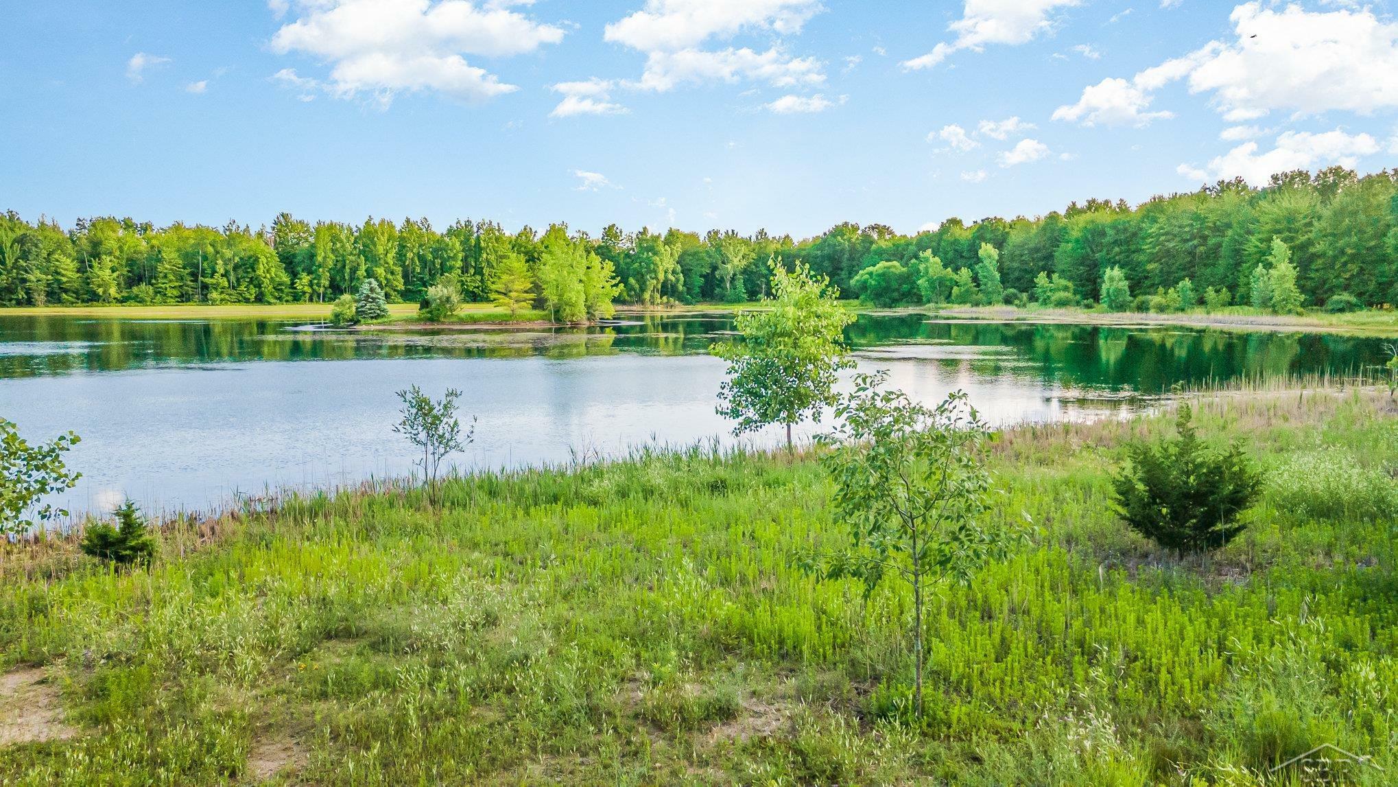 Property Photo:  V/L Lot 1 Swan Creek Road  MI 48626 