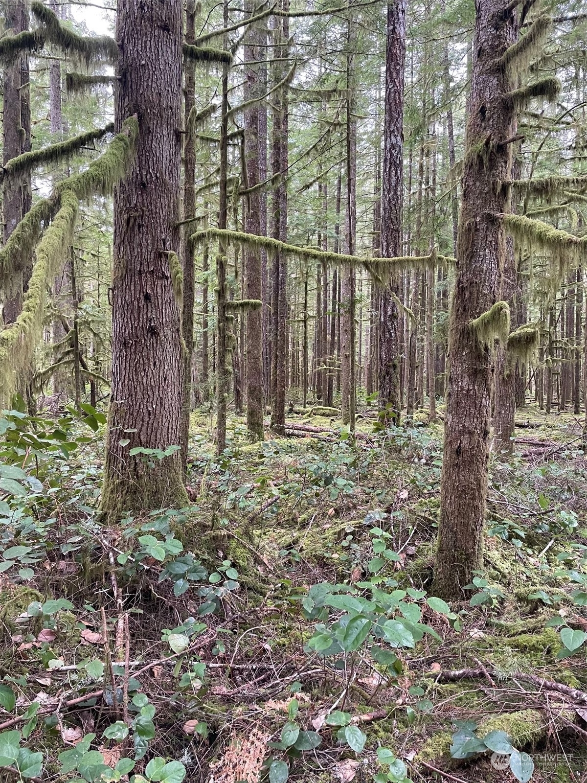 Property Photo: 0 419th Avenue NE WA 98223