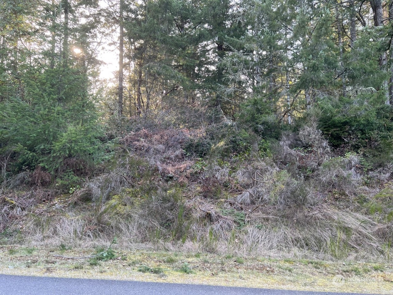 2106 202nd Avenue SW  Lakebay WA 98349 photo