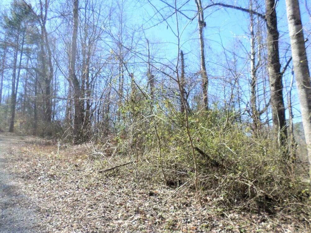 Property Photo:  Tbd Hampton View Dr And 4th Avenue  TN 37658 