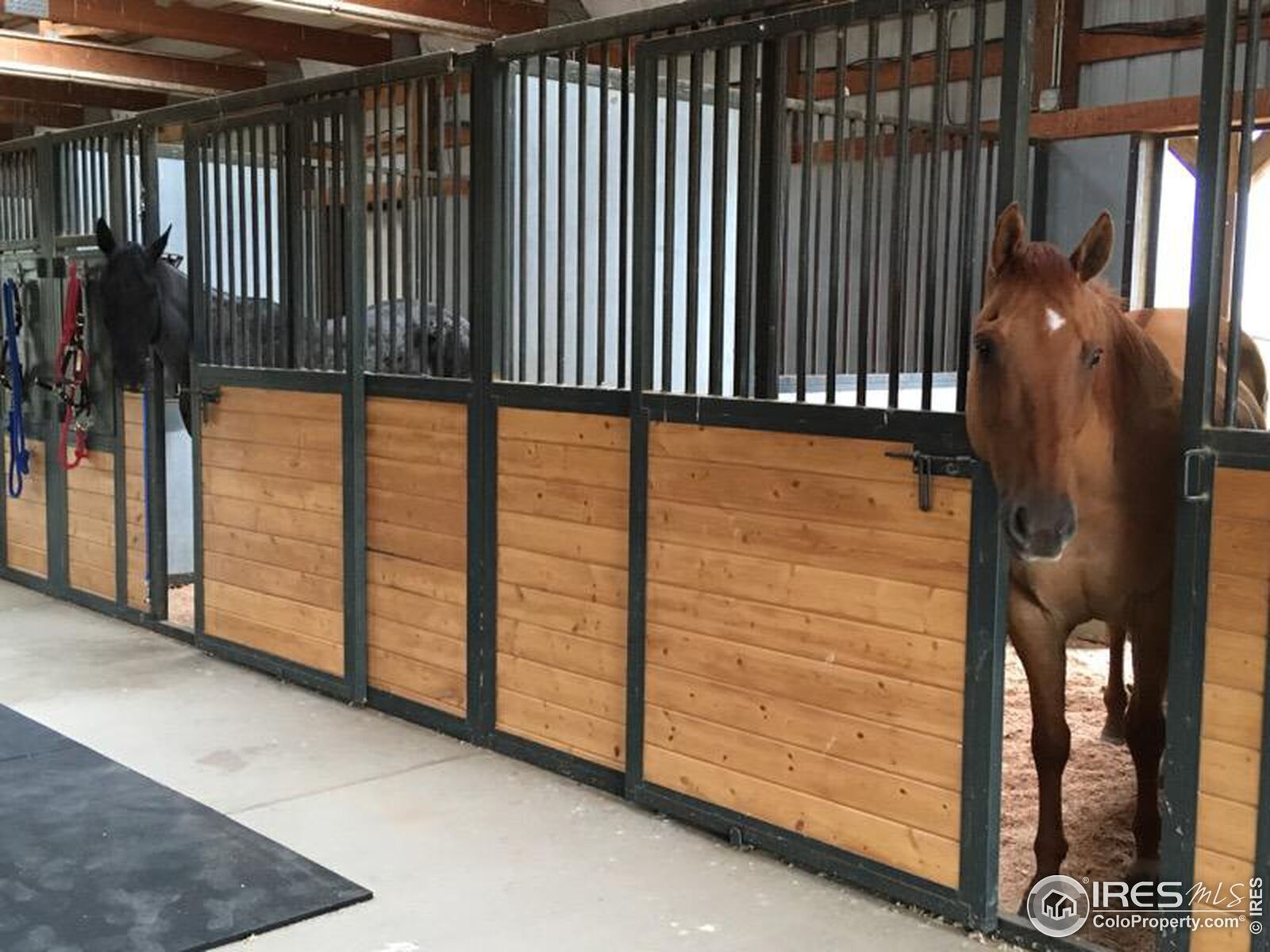 Property Photo:  10127 Phillips Rd  CO 80026 