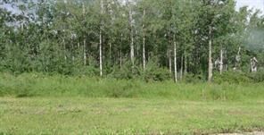 Photo de la propriété: 122 Wolf Run Drive AB T4J 1R3