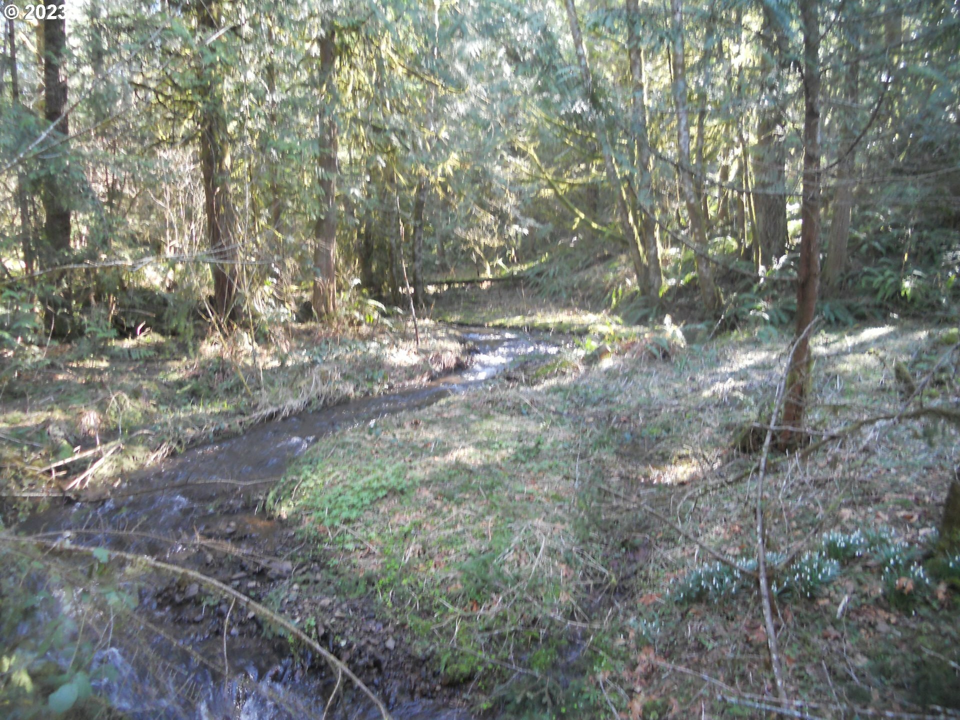 Property Photo:  NE Basket Flat Rd  WA 98604 