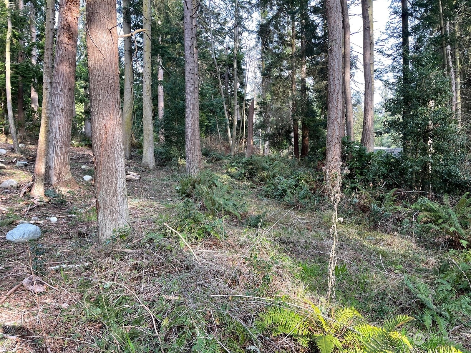 Property Photo:  0 Lot 72 Cottonwood Lane  WA 98249 