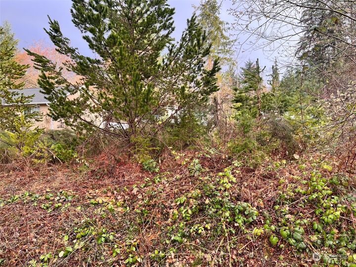 Property Photo: 1170 E Trails End Drive WA 98528