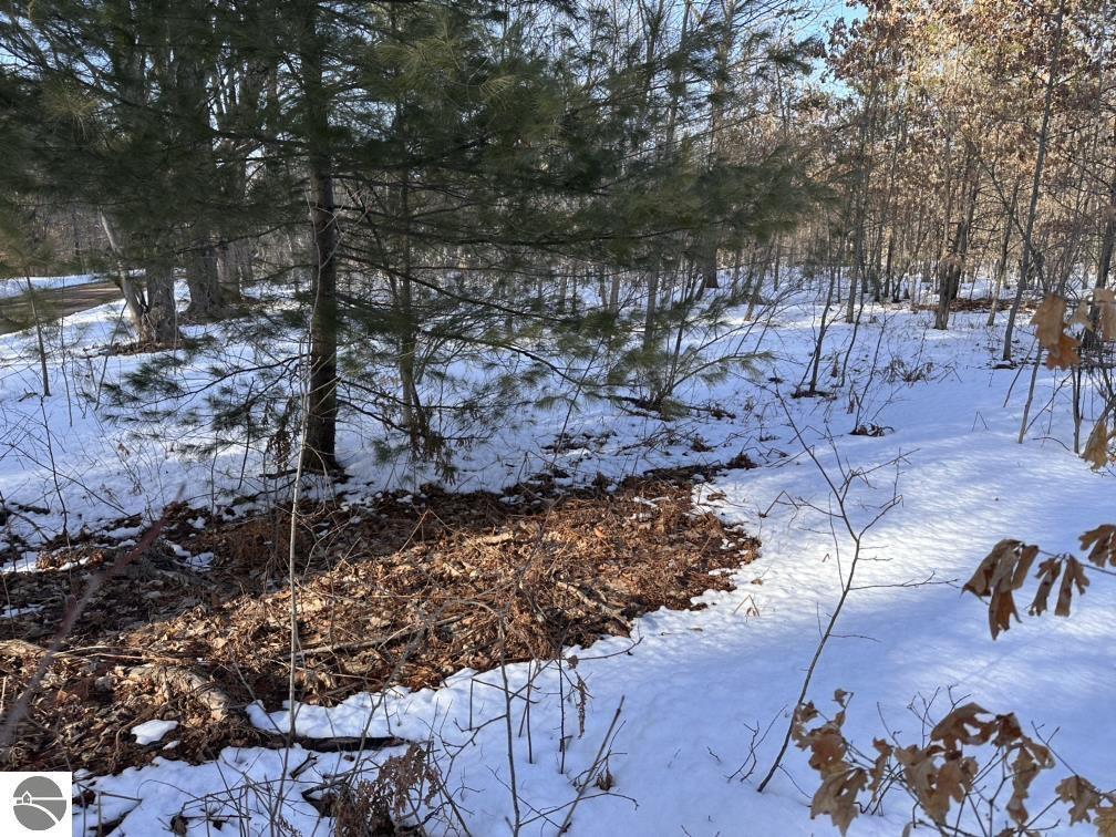 Lot F Betsie River Road  Interlochen MI 49643 photo
