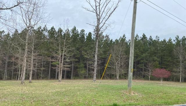 Property Photo:  Lot 1-C New Harmony Road  TN 37338 