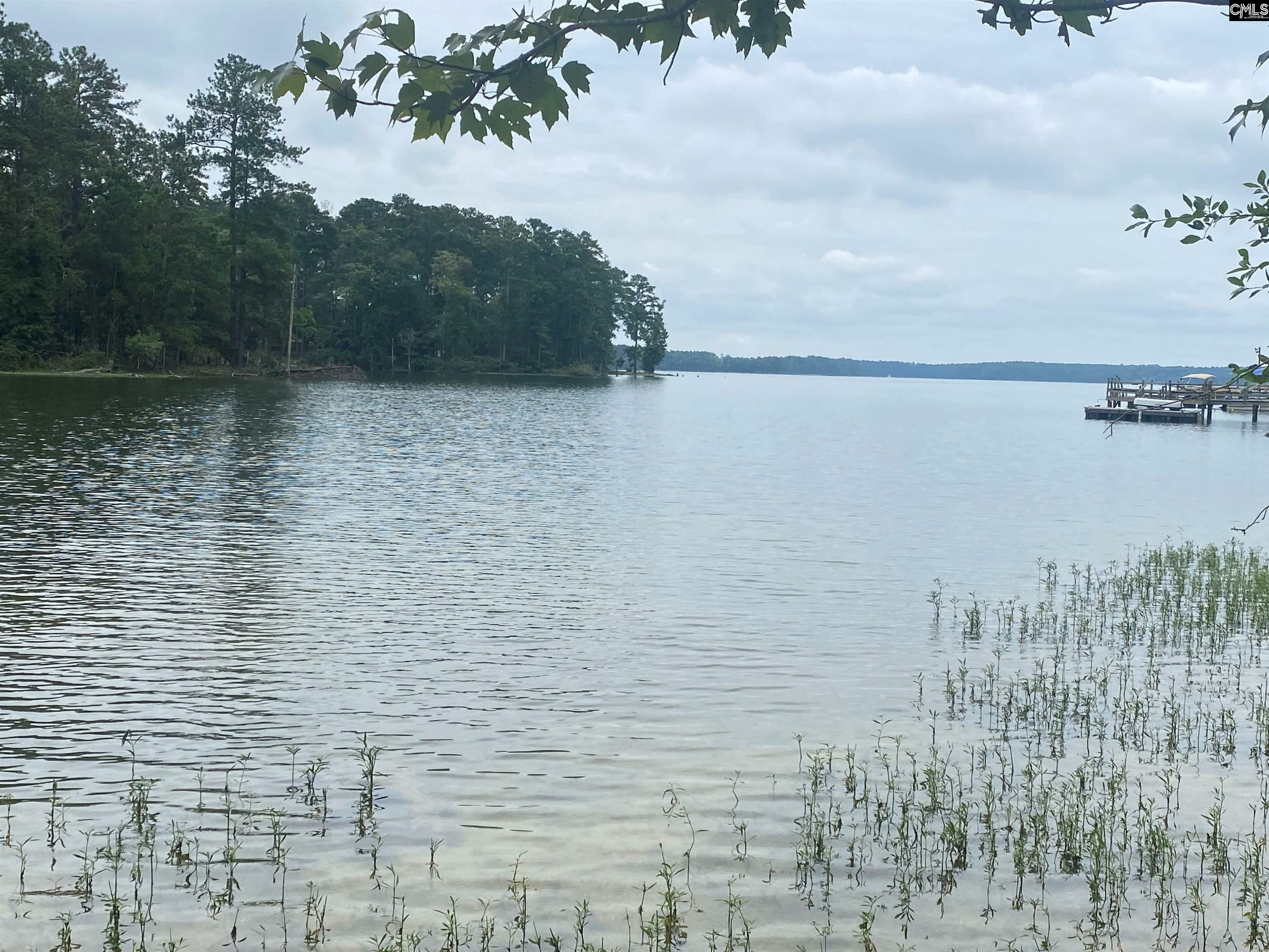 Property Photo: 0 State Park SC 29127