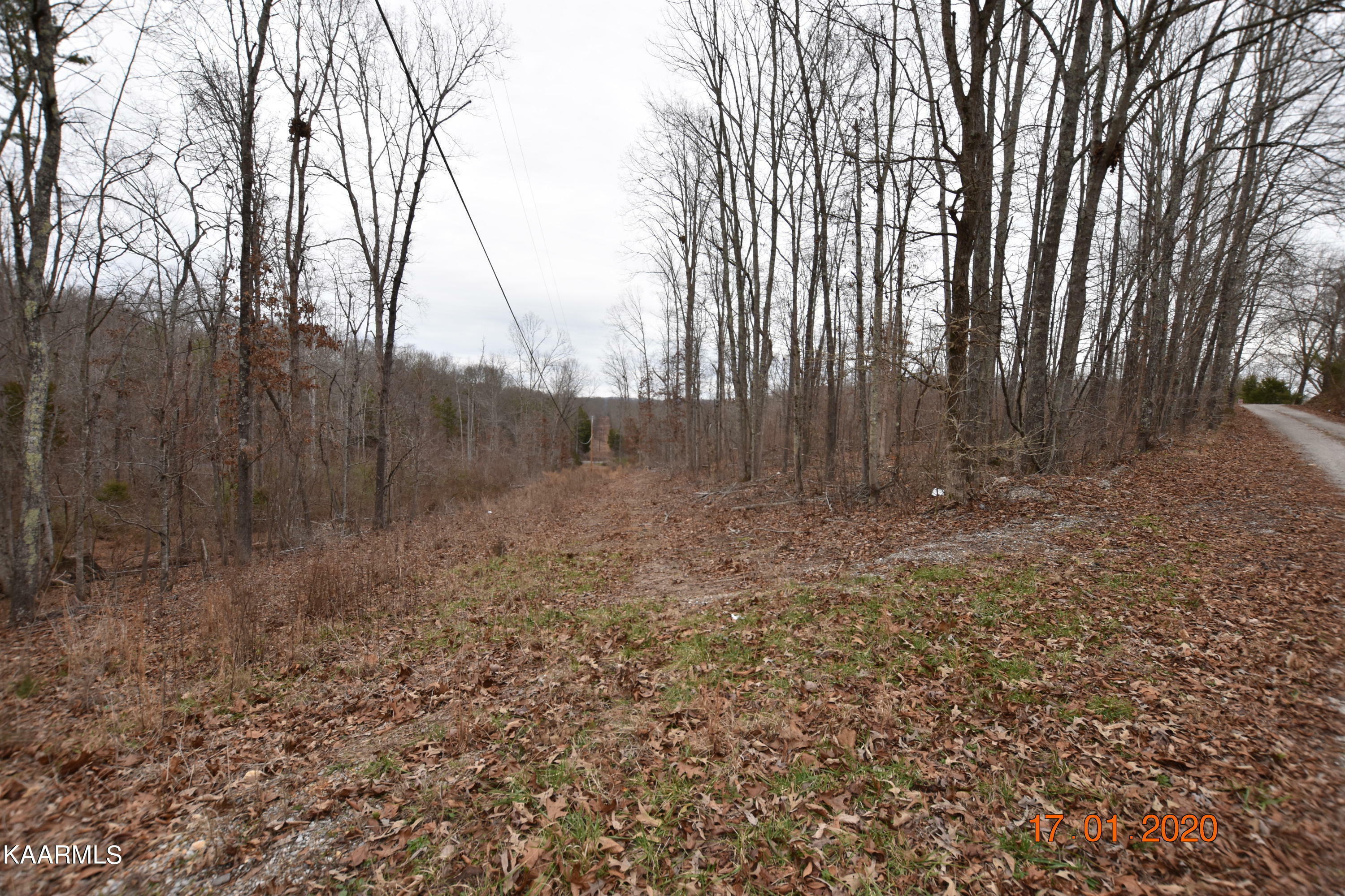 Lot 6 Stipes Hills St  Ten Mile TN 37880 photo