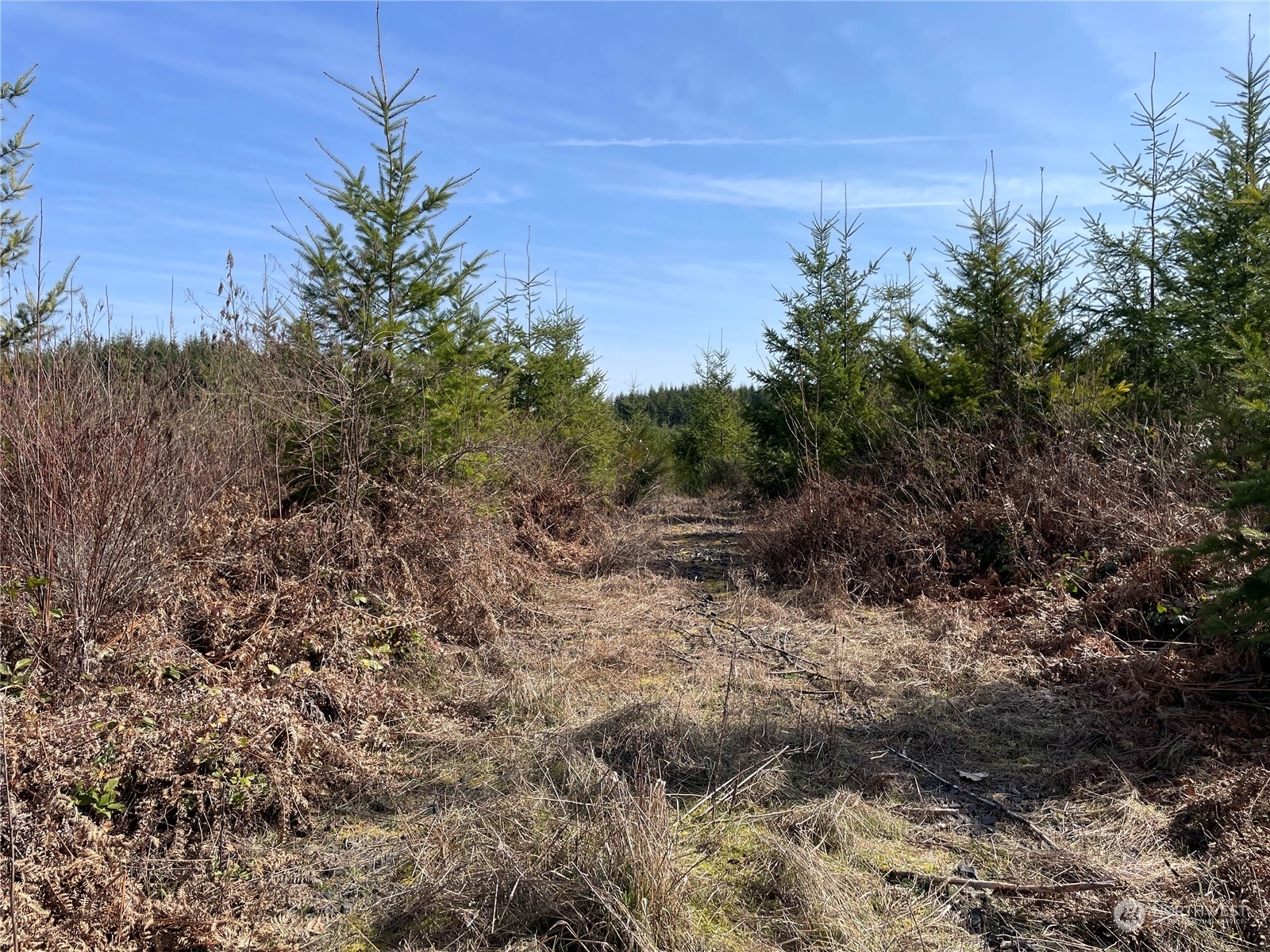 Property Photo: 0 Nikula Road WA 98596