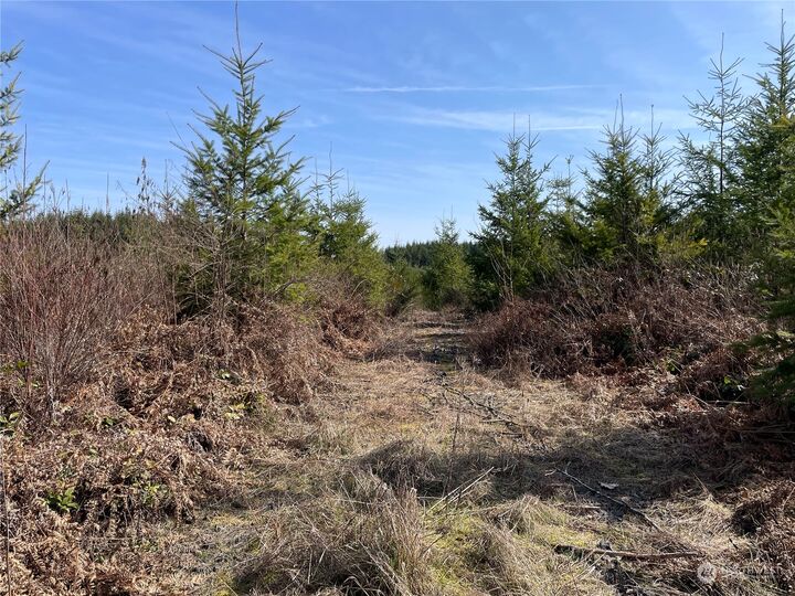 Property Photo:  0  Nikula Road  WA 98596 