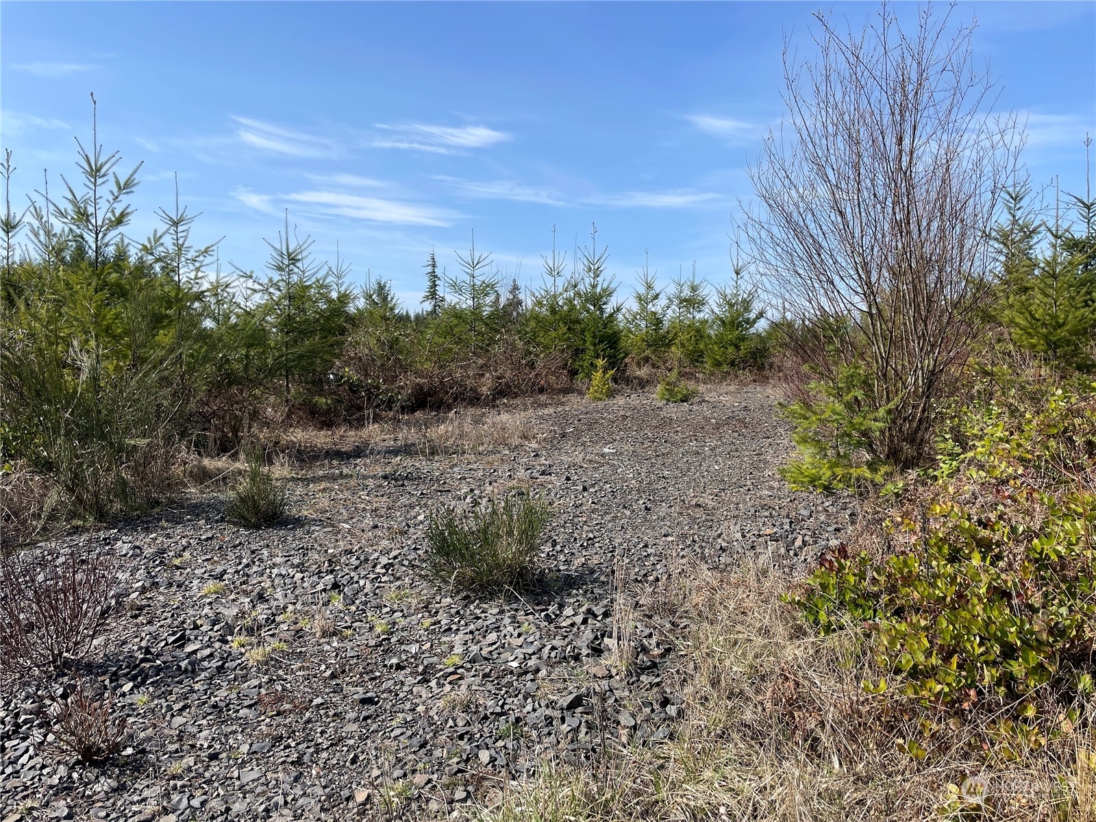 Property Photo: 0 S Military Road WA 98596