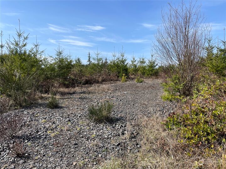 Property Photo:  0 S Military Road  WA 98596 