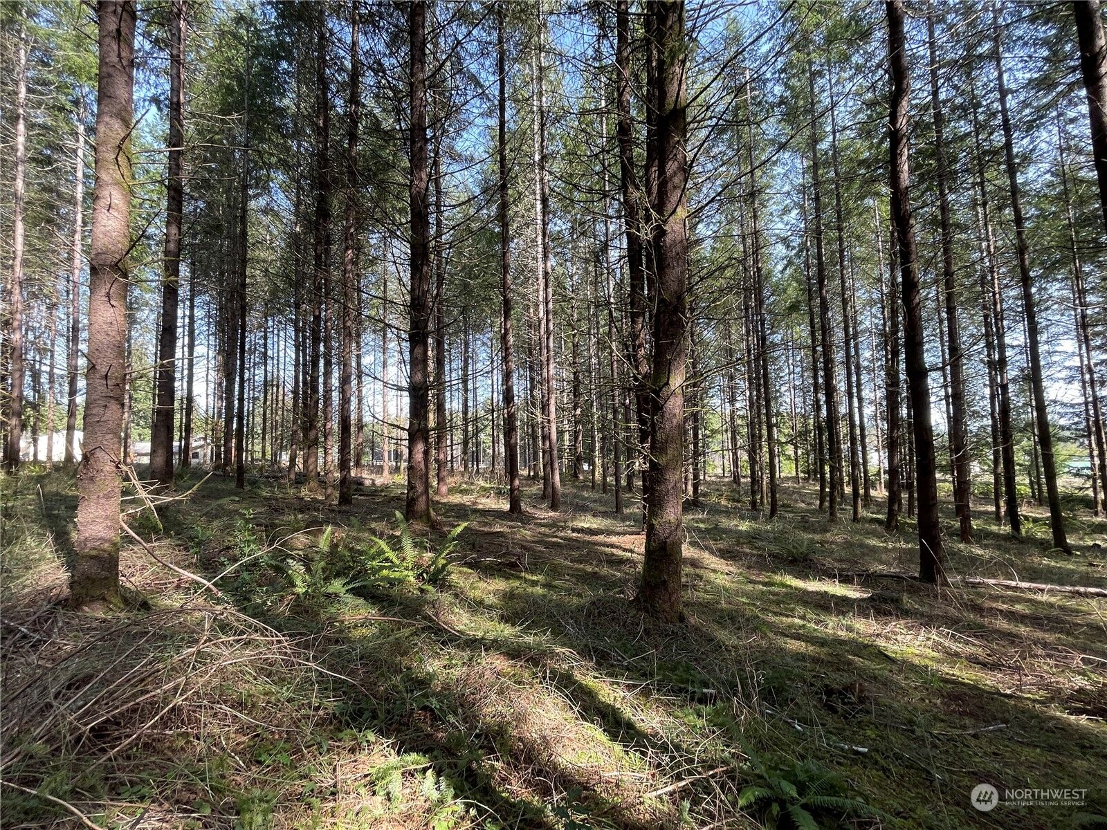 Property Photo: 0 Coma Road WA 98596