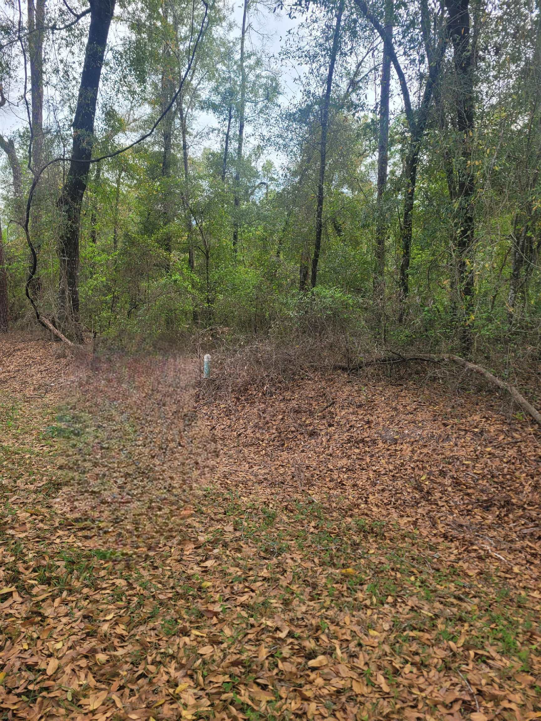 Property Photo:  Lot 5 Knollwood Circle  GA 39819 